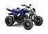2020 Yamaha Raptor 90 for sale 200804075